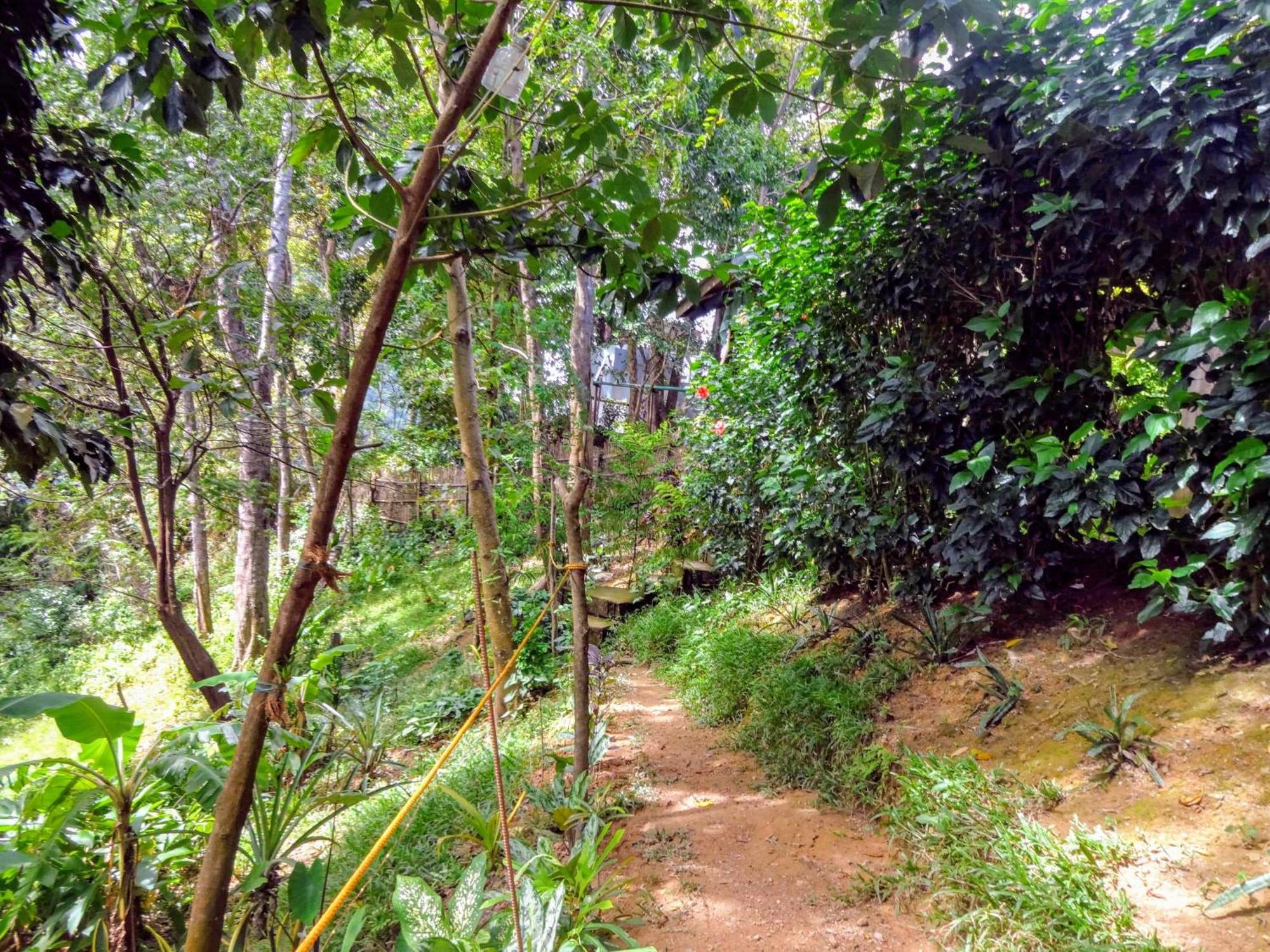 Camp Talusi Hilltop Overlooking El Nido Ruang foto