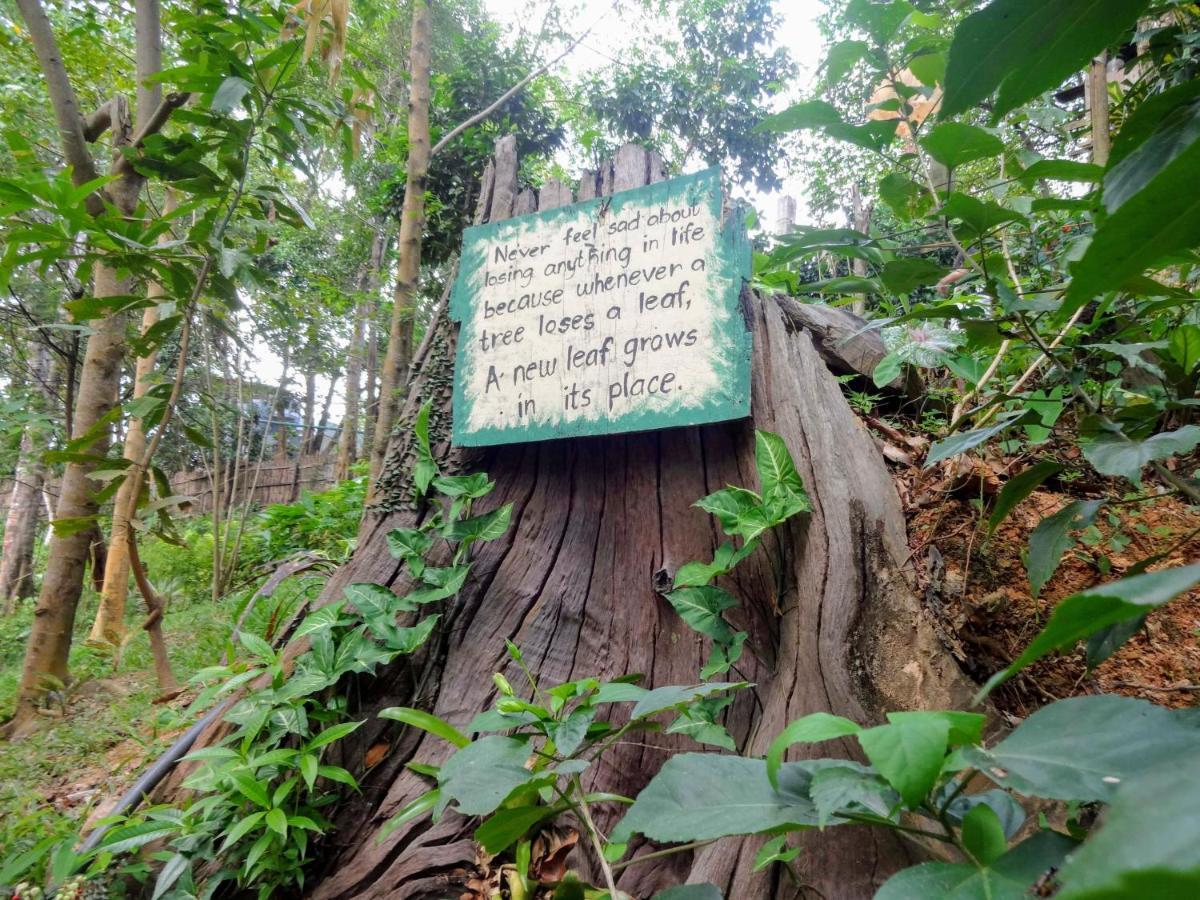 Camp Talusi Hilltop Overlooking El Nido Bagian luar foto
