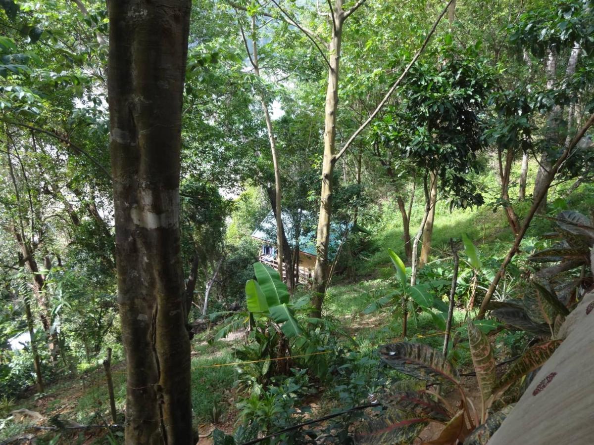 Camp Talusi Hilltop Overlooking El Nido Bagian luar foto